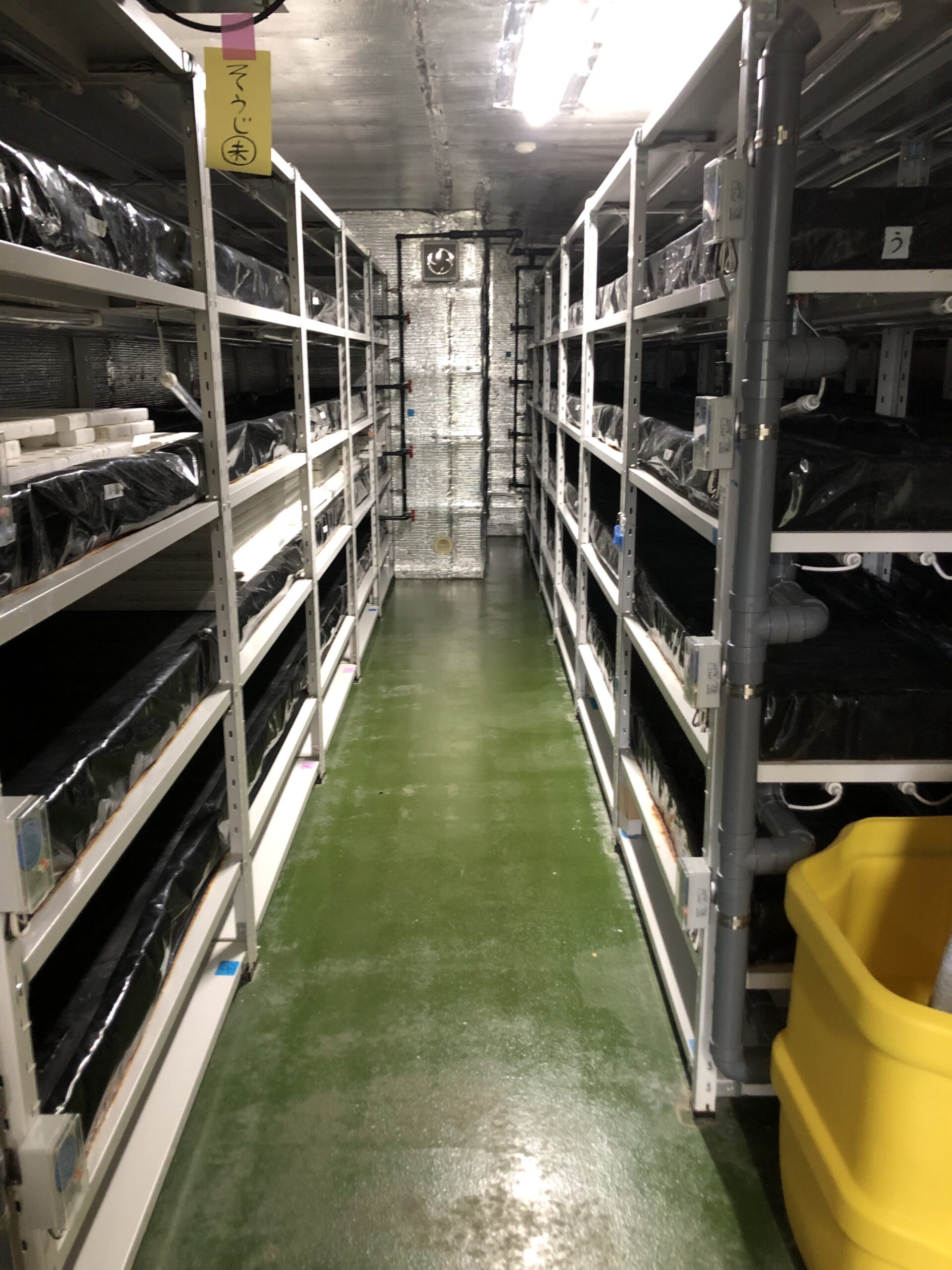 商業ビル、鉄筋コンクリート4階建てでの残置物撤去を行いました。