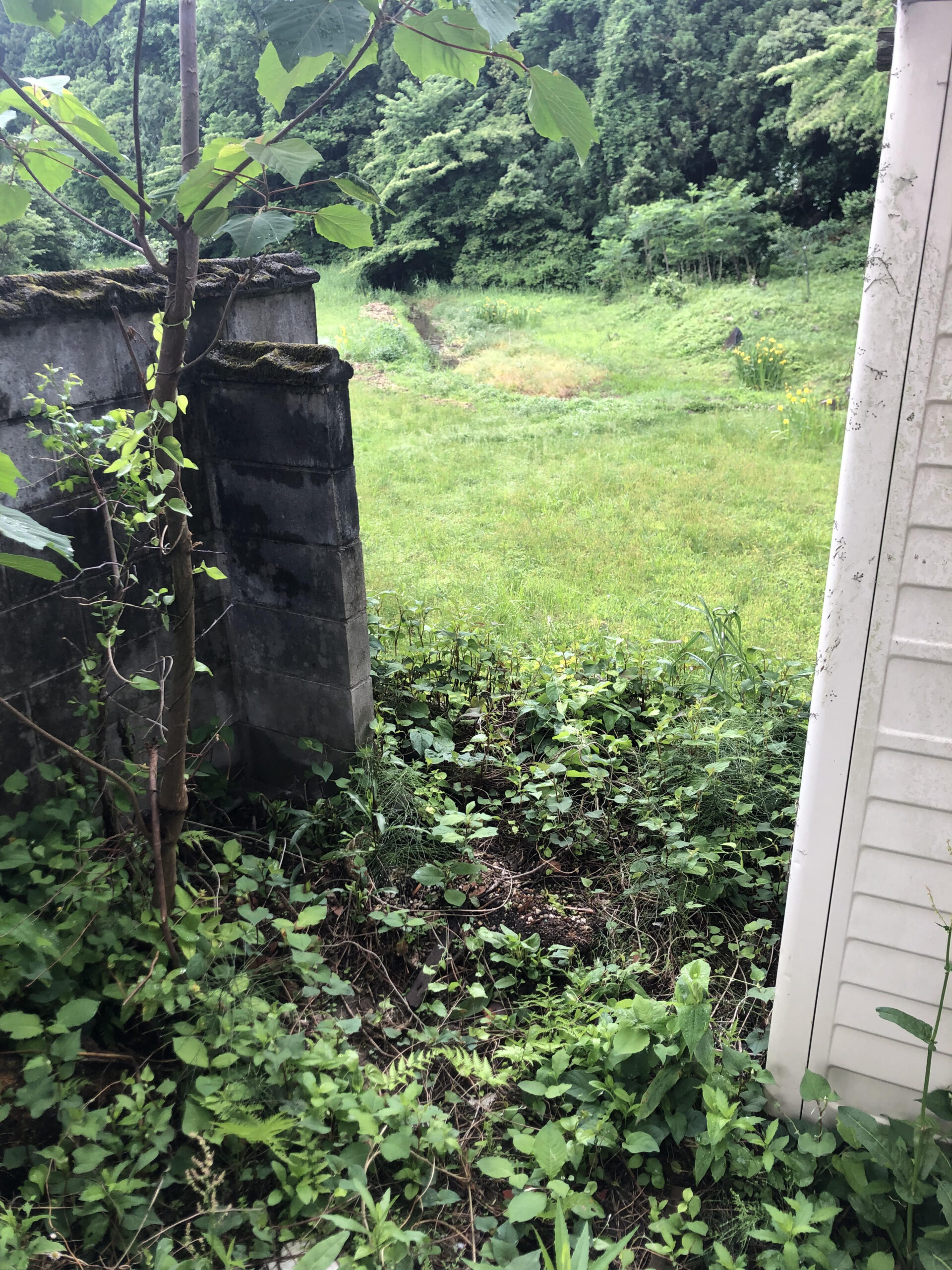 木造住宅　倉庫内の残置物処分整理作業をさせていただきました。